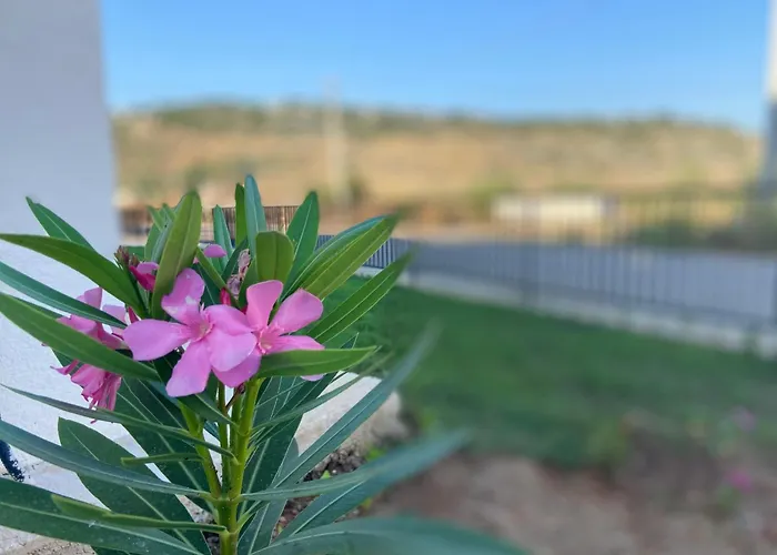 Karafili House Appartement